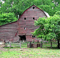 Heritage Recipes -- Old Fashioned Fried Apples from Northern Kansas